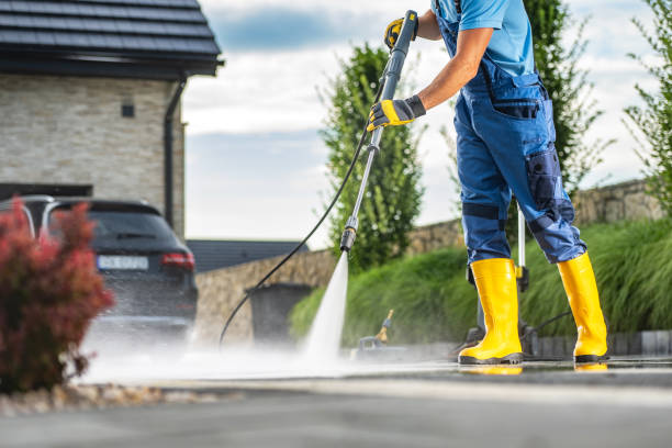 Animal Enclosure Cleaning in Auburn, CA